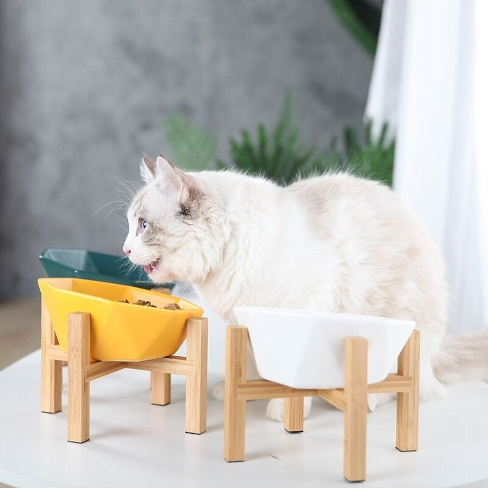 Water Bowl For Cats No Mess Ceramic Elevated Raised Cat Bowl With