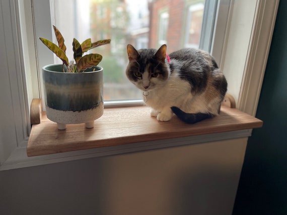 removable cat window perch