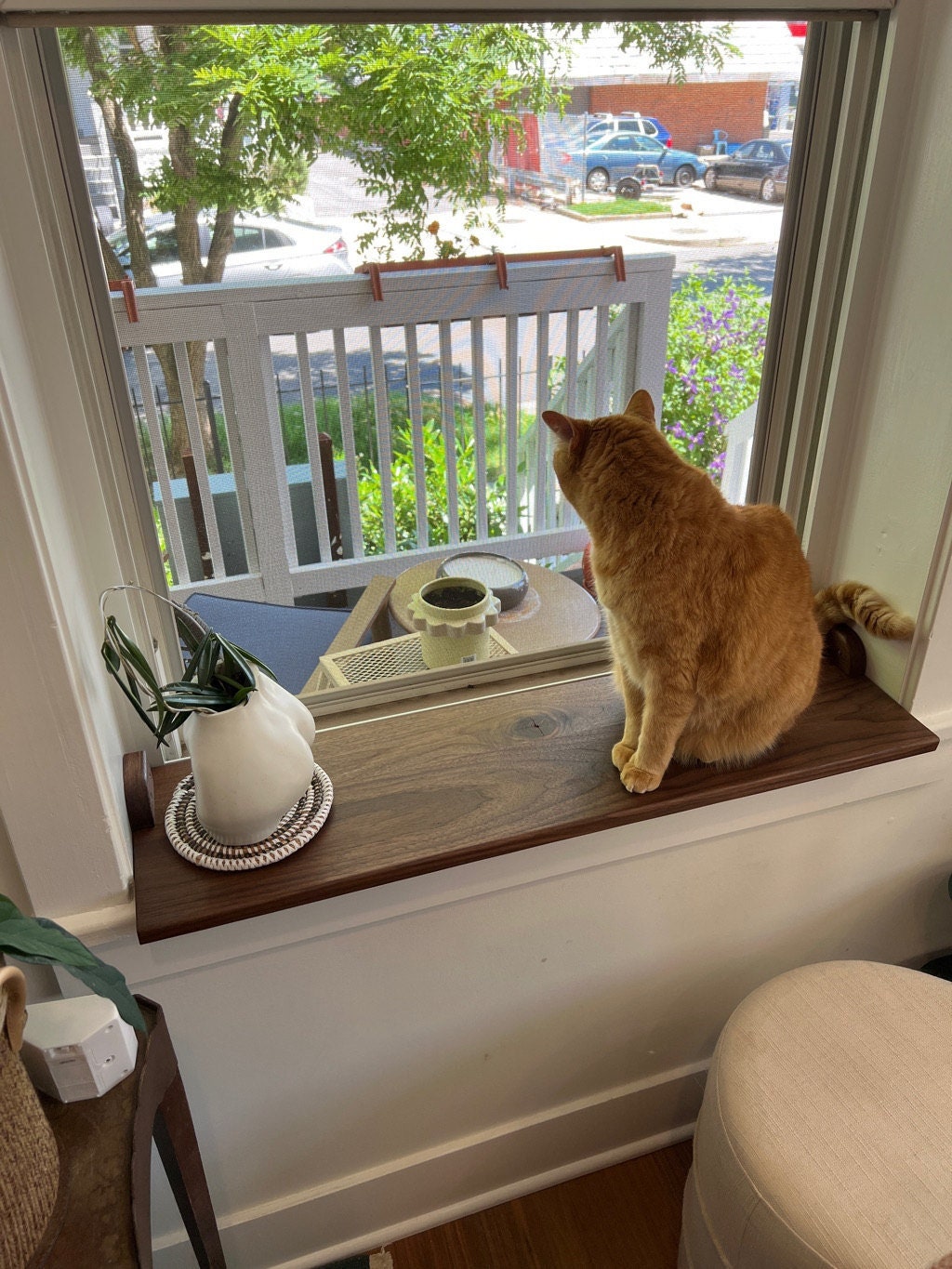 DIY CAT SHELF Plant Shelf Window Sill Shelf Extension (Give Cats And