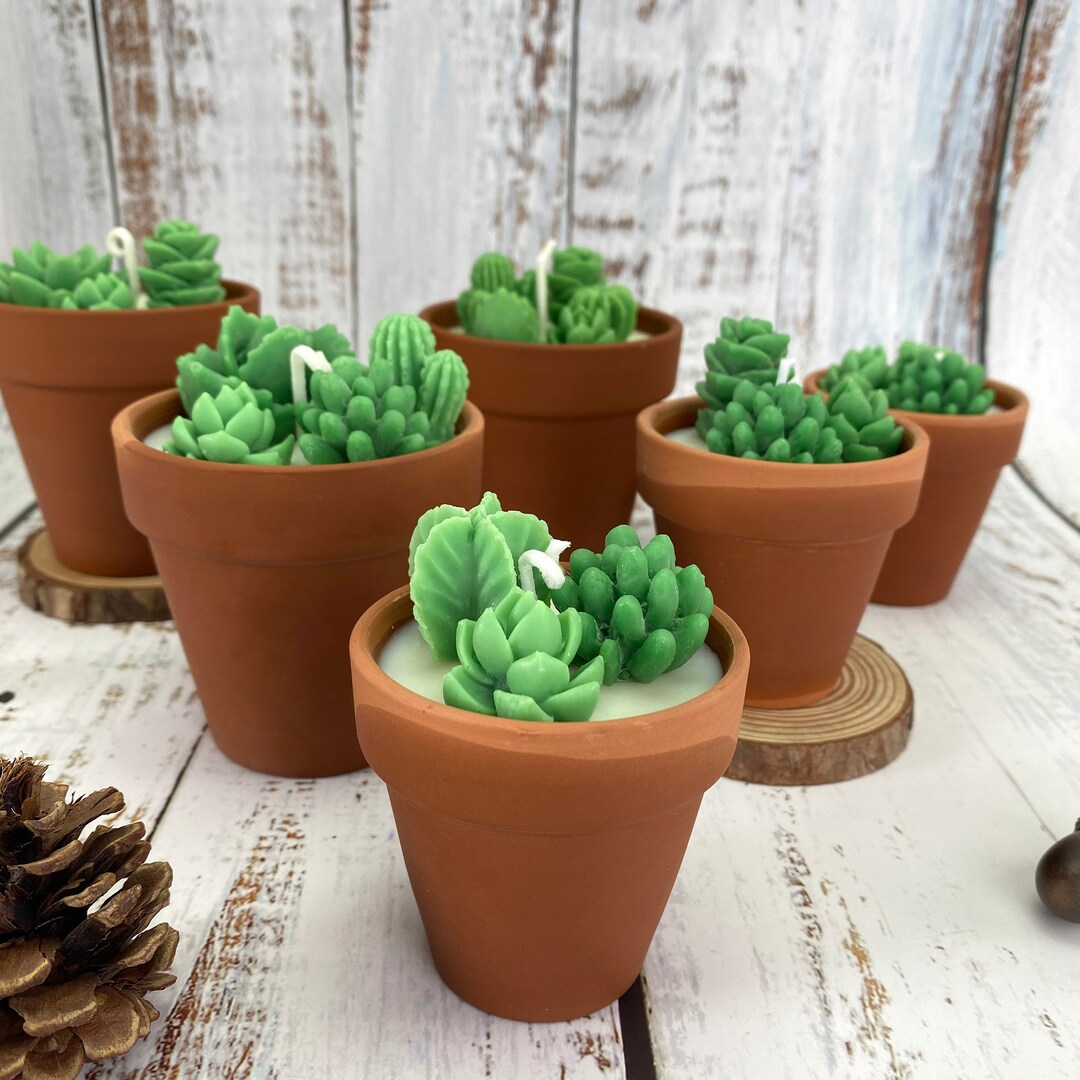 Cactus Candle Giftsucculent Candle Birthday Giftthank You Etsy