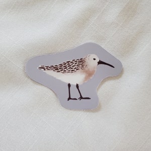 Sandpiper Sticker