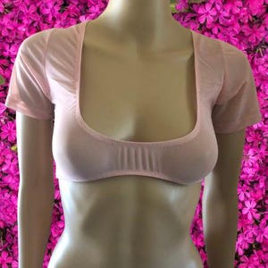 Sheer Mesh Belly Dance Crop Top Lingerie