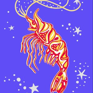 Kosmische garnalen-SVG | Knutselmap voor liefhebbers van de zee en de sterren | Cricut en silhouet