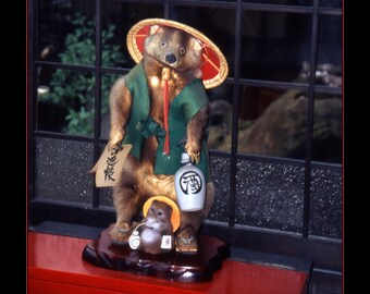 縁起物 信楽焼たぬき 夫婦たぬき - Etsy 日本