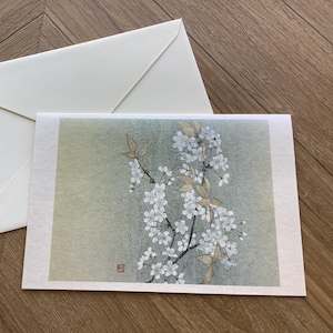 Set di biglietti d'auguri vintage giapponesi con fiori di ciliegio