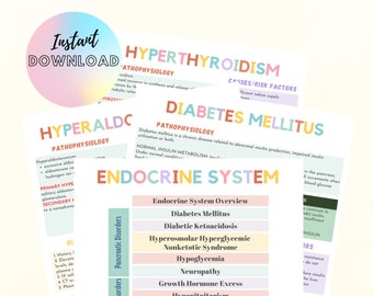 Notas de cirugía médica del sistema endocrino, Trastornos del sistema endocrino, 18 trastornos endocrinos, 23 páginas, DESCARGA DIGITAL, notas de la escuela de enfermería