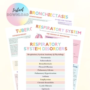 Respiratory System Med Surg, Respiratory system anatomy and physiology, Nursing Study Notes, 16 respiratory disorders, 21 pages, DIGITAL