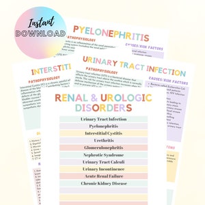 Puede incluir: Un gráfico imprimible rosa y amarillo con el título "Trastornos renales y urológicos". El gráfico enumera las infecciones comunes del tracto urinario, incluyendo la pielonefritis, la cistitis intersticial, la uretritis, la glomerulonefritis, el síndrome nefrótico, los cálculos del tracto urinario, la incontinencia urinaria, la insuficiencia renal aguda y la enfermedad renal crónica.