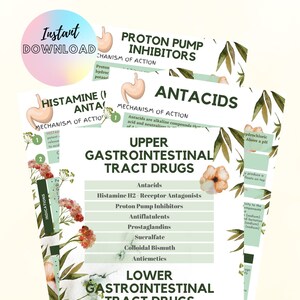 Gastrointestinal System Drugs Study Notes, Gastrointestinal System Drugs Study Guide, Pharmakologie Notizen, Pharmakologie Guide, Pflegehinweise