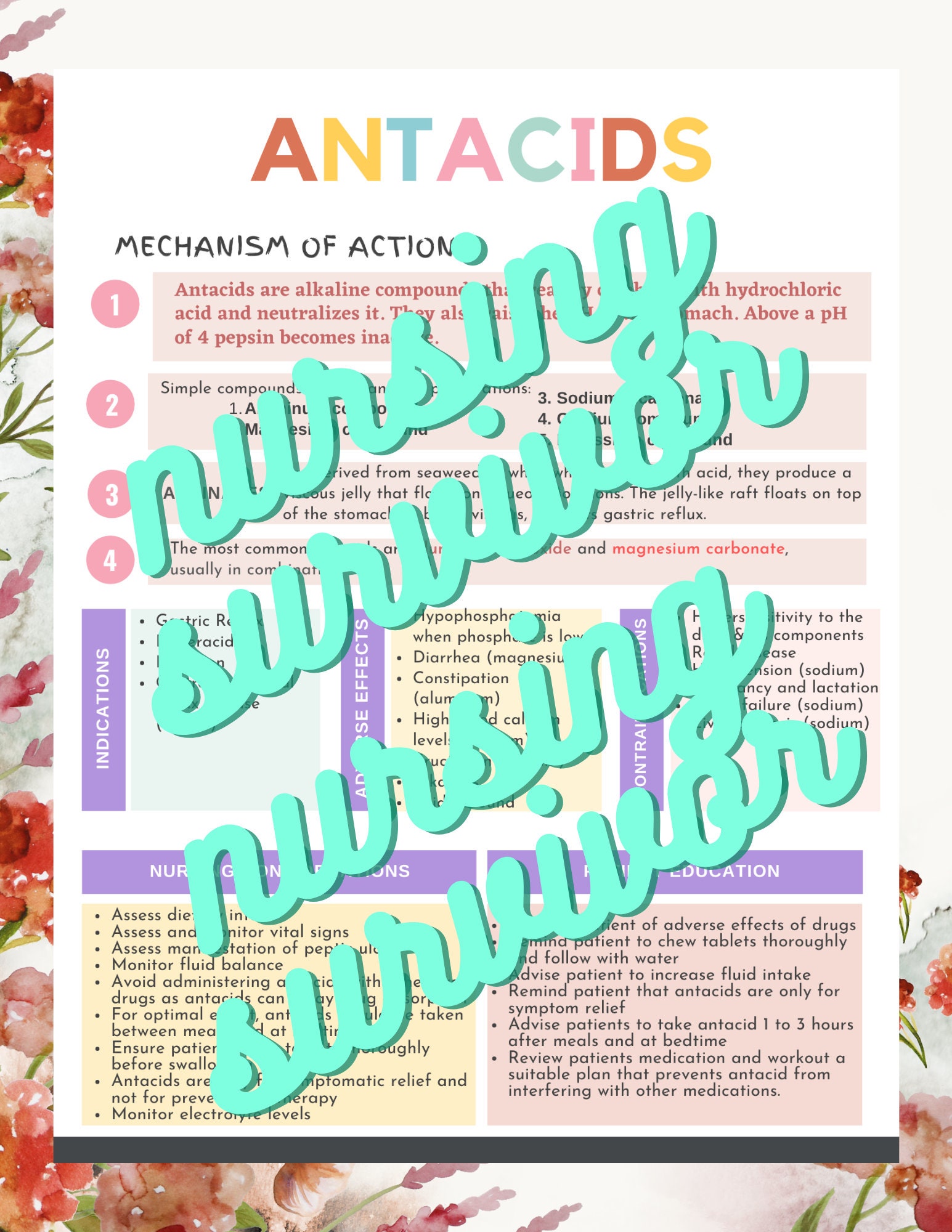 Digestive System Study Bundle Anatomy & Physiology - Etsy