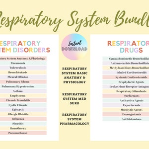 Respiratory System Study Bundle, Respiratory system anatomy and physiology, Med surg, Respiratory Pharmacology, DIGITAL DOWNLOAD, 35 pages+