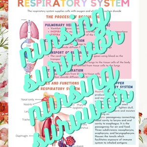 Puede incluir: Un diagrama colorido del sistema respiratorio humano con etiquetas para las diferentes partes, incluyendo la cavidad nasal, la faringe, la laringe, la tr&aacute;quea, los bronquios y los alv&eacute;olos. El diagrama tambi&eacute;n incluye texto que explica el proceso de respiraci&oacute;n y las funciones del sistema respiratorio.