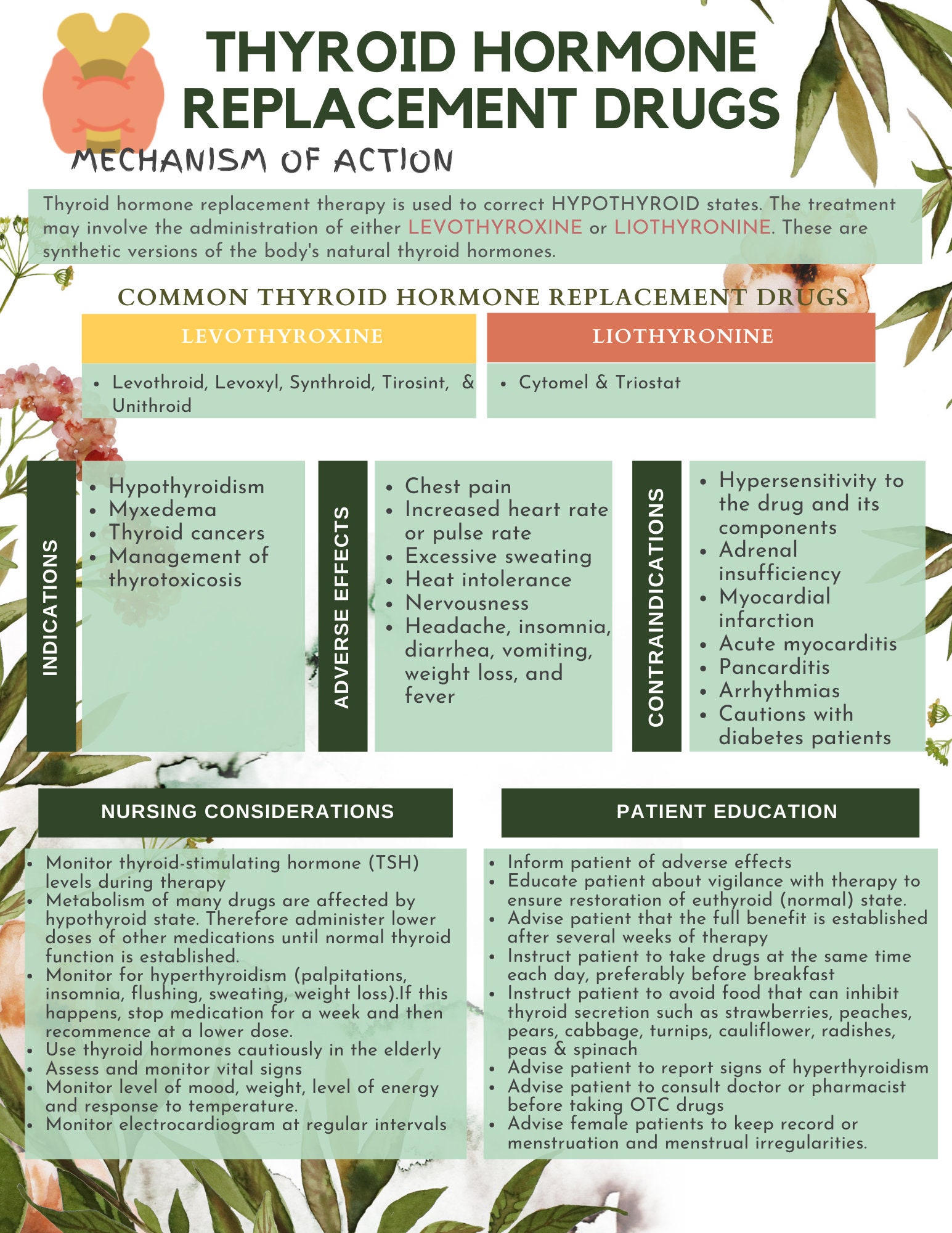 Thyroid Drugs Study Guide, Pharmacology Study Guide, Nursing Study ...
