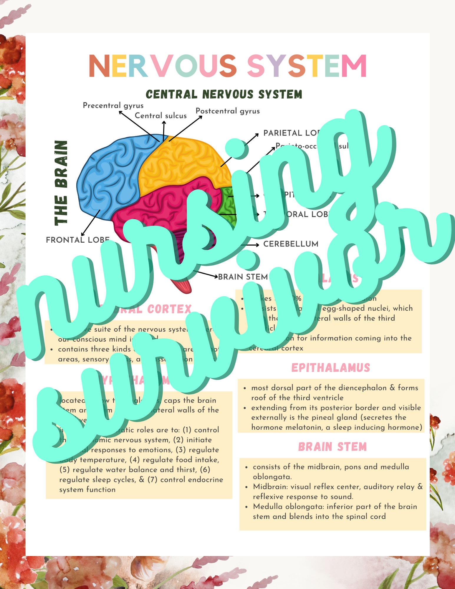 Neurological System Med Surg Study Notes, Nervous System Disorders, 21 ...