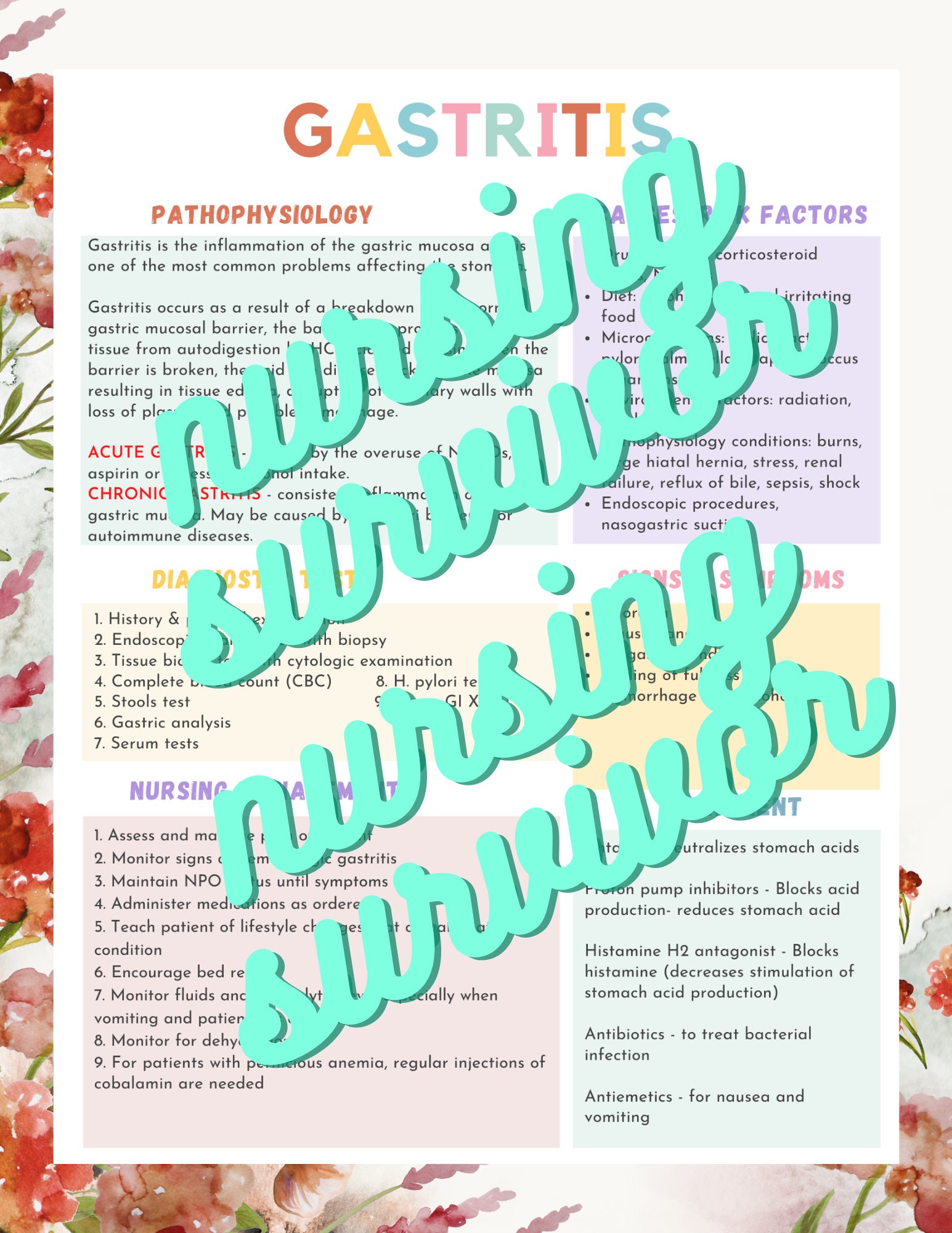 Digestive System Study Bundle Anatomy & Physiology - Etsy