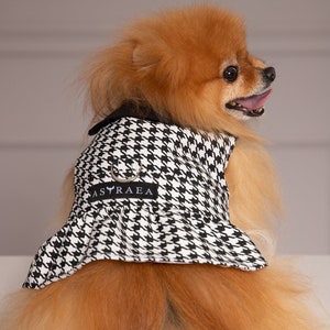 Pomeranian Clothes Etsy Canada