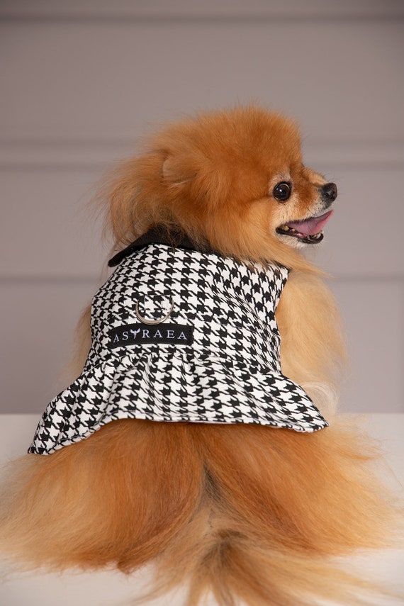 Black & White Dress Coat for Pomeranian and Other Small Breed