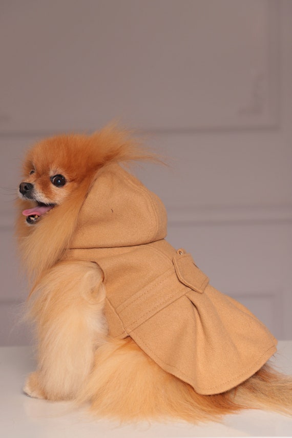 Camel dog costume cheap