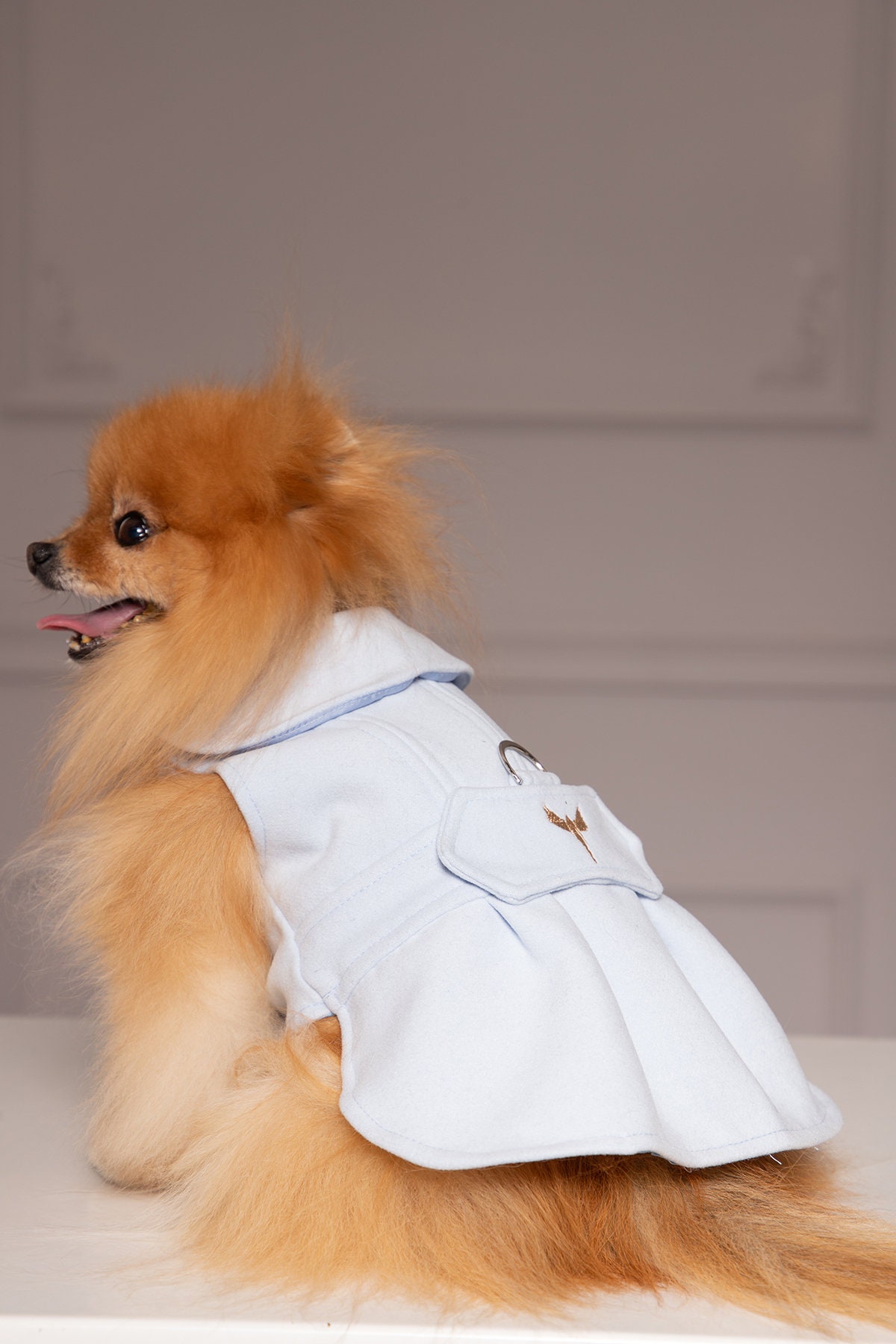 Light Blue Dog Jacket Coat With Pleated Back Coat Collar & - Etsy