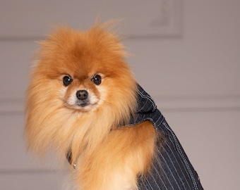 Cotton Denim Shirt for Yorkie, Pomeranian, Poodle, Pug, Maltese, Small Puppies & All Small Breed Dogs -Unique Pet Clothing,Dog Party Apparel