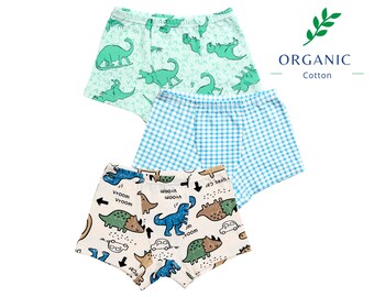 3 Pack Kid's Underwear Set - Organic Cotton Unisex Set - Fun Dino Theme - Dino Dreams Brief Set