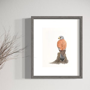 A4 Kestrel Bird of Prey Wall Art Print