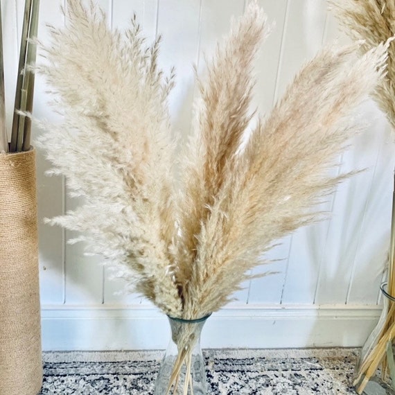 Décoration De Fleurs Séchées De 17 Pouces, Herbe De La Pampa,Bouquet Séché D'herbe De Pampa De