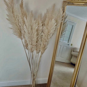 Grande herbe de la pampa jusqu'à 140 cm Herbe de la pampa Décoration d'intérieur Cadeau pour elle Bouquet de pendaison de crémaillère des pampas Cadeaux fleurs séchées Décoration de mariage
