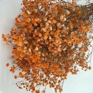 Orange Dried Gypsophila Bouquet Preserved Baby’s Breath Dried Flower Wedding Decor