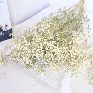 Bundle d'haleine de bébé conservée à la gypsophile Fleurs de gypsophile séchées, décoration de mariage rustique, décoration de la maison, bouquet de fleurs sèches, arrangement floral