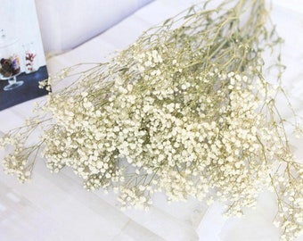 Dried Baby’s Breath Bouquet Preserved Gypsophila Dried Gypsophila Home Decor Dried Flowers Wholesale Wedding Decor Gypsophila Bulk