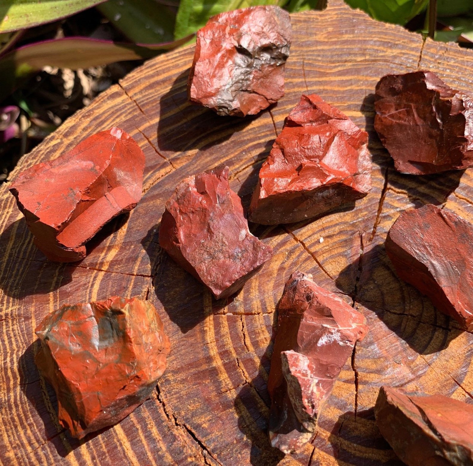 Raw Red Jasper Crystal 12 inch Etsy