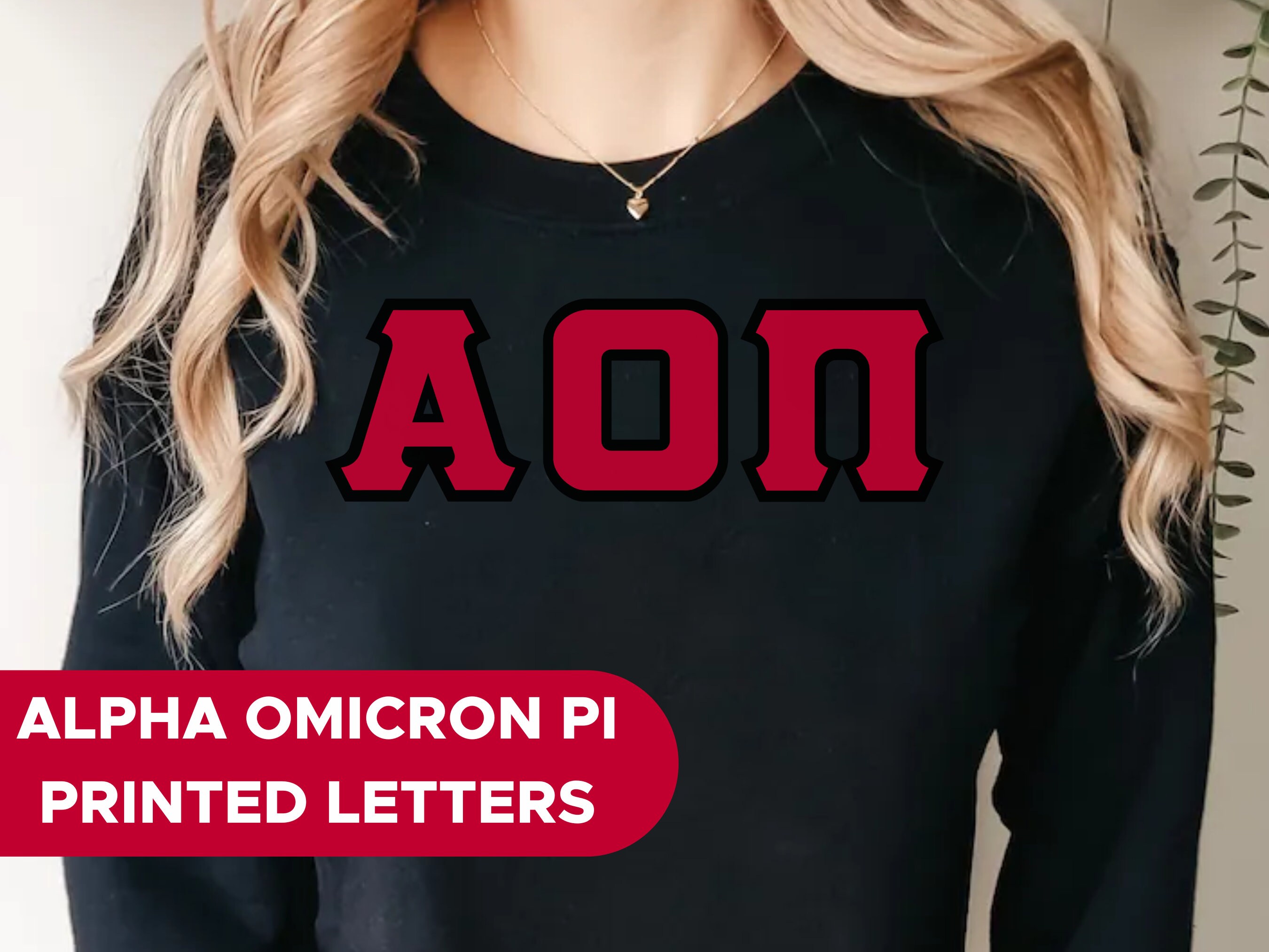 Aopi Symbol Alpha Omicron Pi Printed Letters | Cardinal With Black Border Crewneck ...