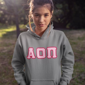 Alpha Omicron Pi Printed Letters | Pink with Red Border Hoodie