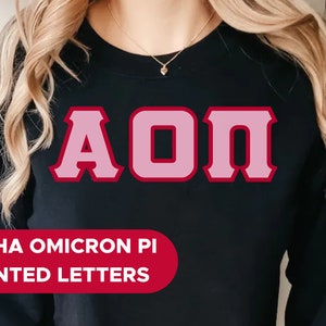 Alpha Omicron Pi Printed Sorority Letters | Pink with Red Border Crewneck Sweatshirt