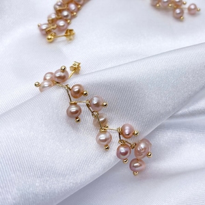 Natural Fresh Water Long Tassel Drop Purple Pearl Earrings