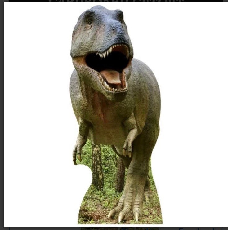 Tyrannosaurus Rex 6 Foot Tall CARDBOARD CUTOUT Etsy