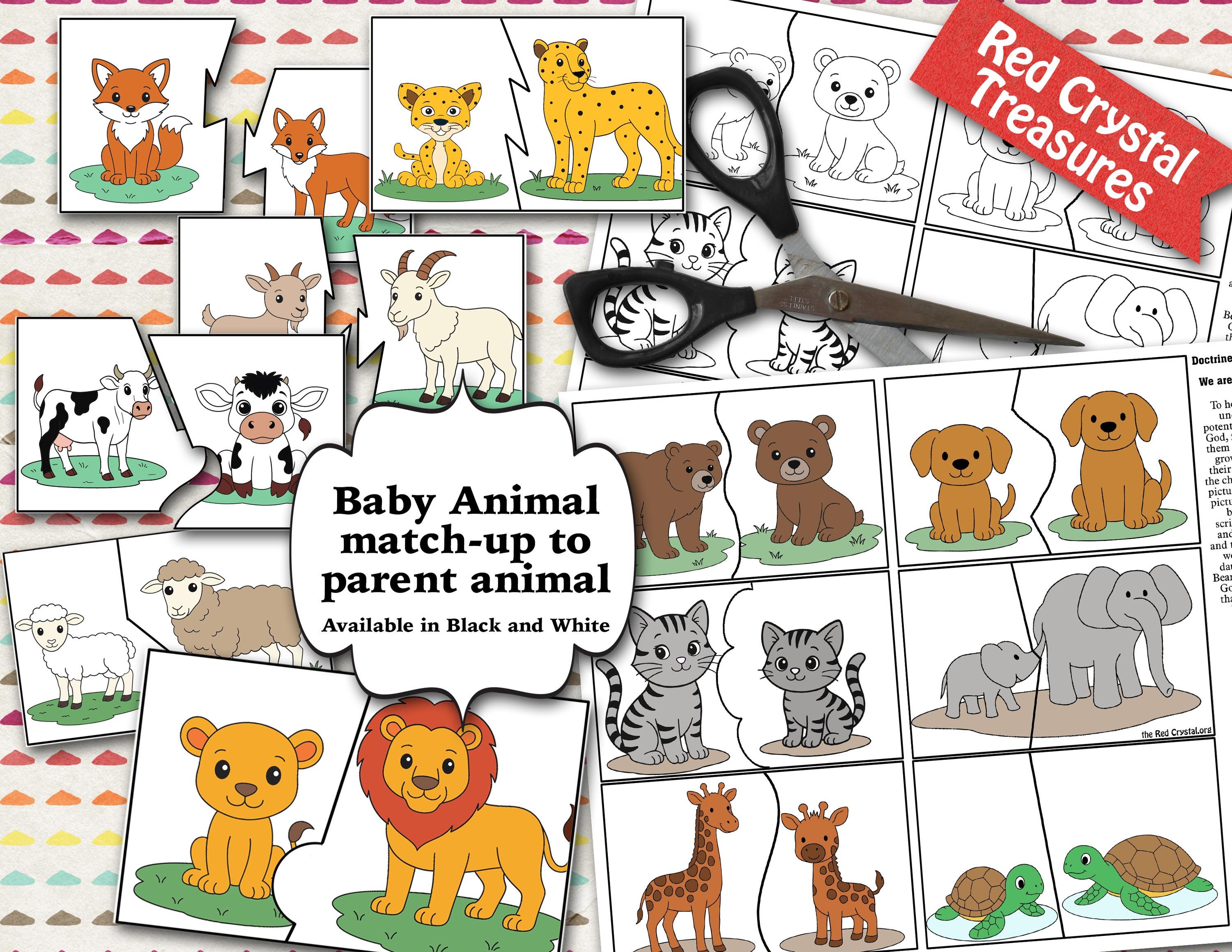 Come Follow Me, Baby Animal Match up Game - Etsy, image size:3000x2318