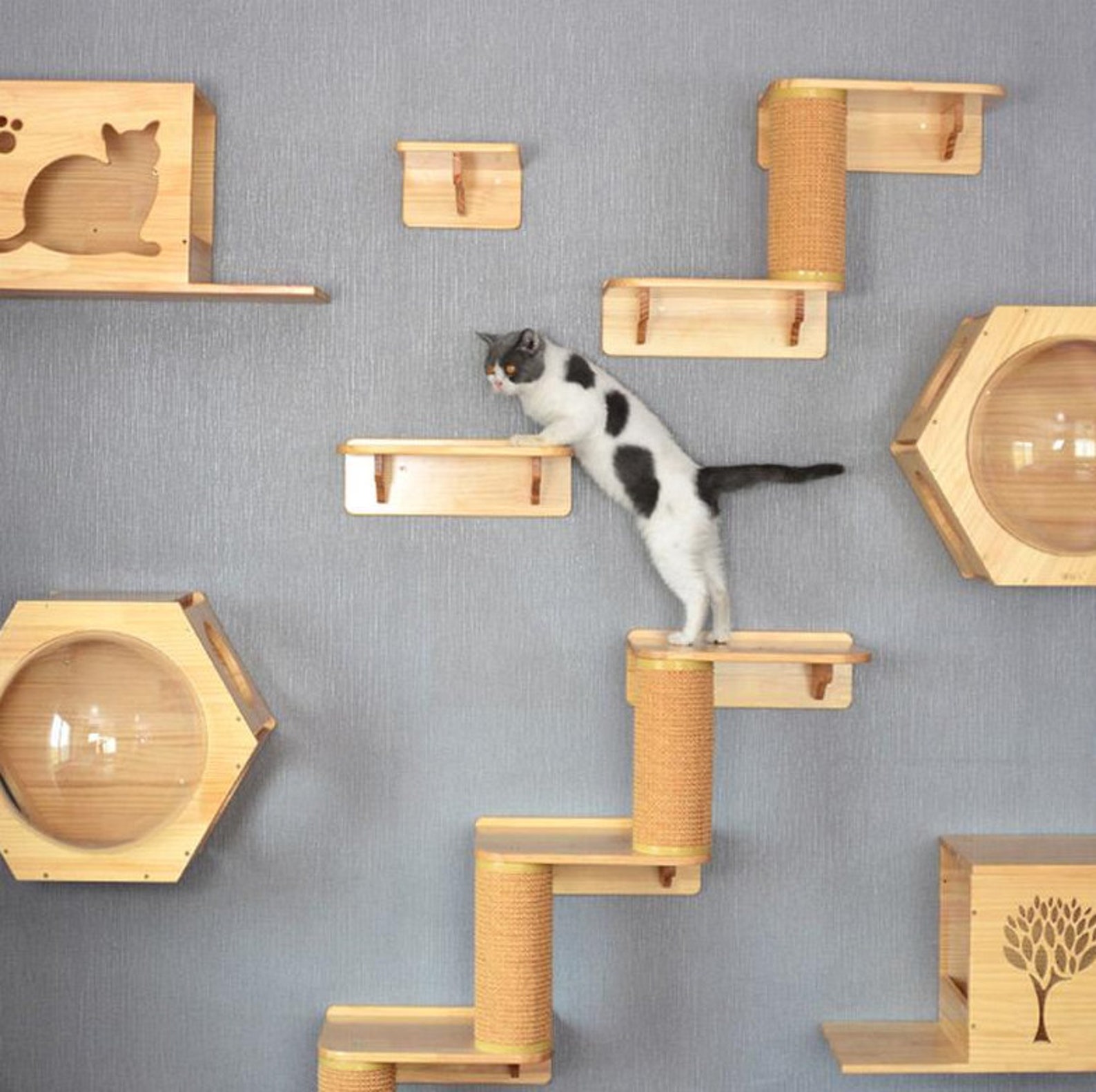 Katze Baum Massivholz Wandmontiert eisern Katze Klettern Etsy