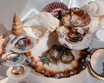Soporte para joyas de conchas marinas Solara