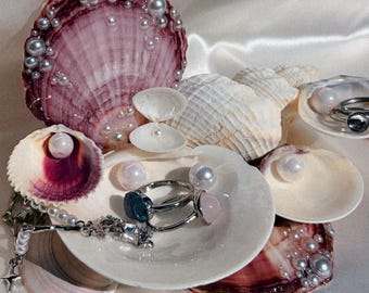 Soporte para joyas de conchas marinas Vesperia