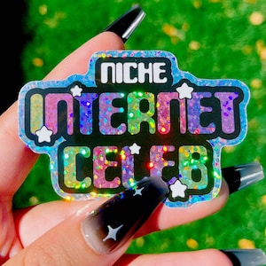 Niche Internet Celeb Waterproof Vinyl Sticker |  Laptop Sticker | Water Bottle Sticker | Y2K Sticker