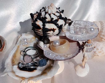Soporte para joyas de conchas marinas Lunaira