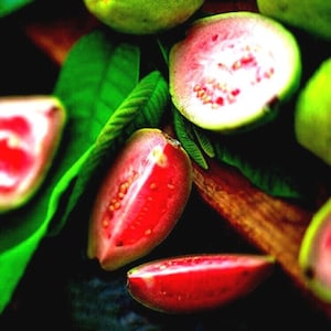 Seed Strawberry 20 Strawberry Guava Tree Seeds - Grow Your Own Edible Fruit  Plant (Psidium Cattleianum) Strawberry Guava Seeds