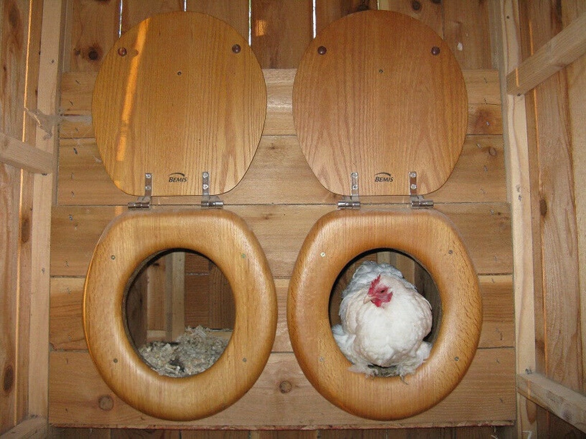 Plan W/ Material List Chicken Coop Framing Plan Outhouse Etsy