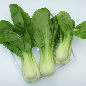 800 Pak Choi Chinese Cabbage Bok Choy Seeds USA Non-GMO Fresh Garden Seeds image 7