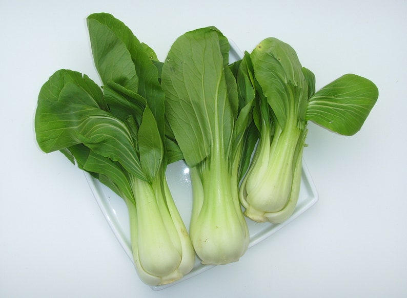 800 Pak Choi Chinese Cabbage Bok Choy Seeds USA Non-GMO Fresh Garden Seeds image 7