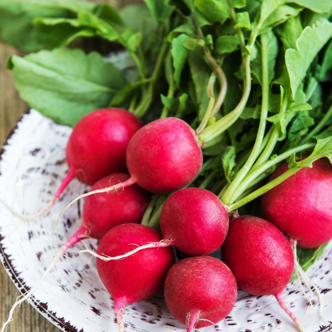 300 Radish Highquality Seeds Garden Fresh USA Nongmo Etsy