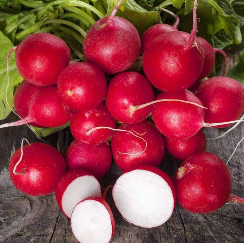 300 Radish Highquality Seeds Garden Fresh USA Nongmo Etsy