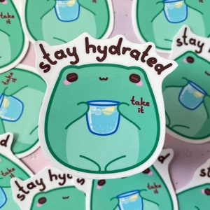 Frosch Sticker Kawaii Stay Hydrated | Japanese Froggy Vinyl Stickers | Kleine Geschenke | Holografische Stickers